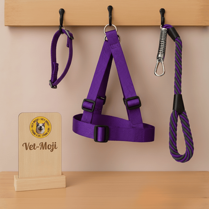 Conjunto para perro Mediano - Grande  2