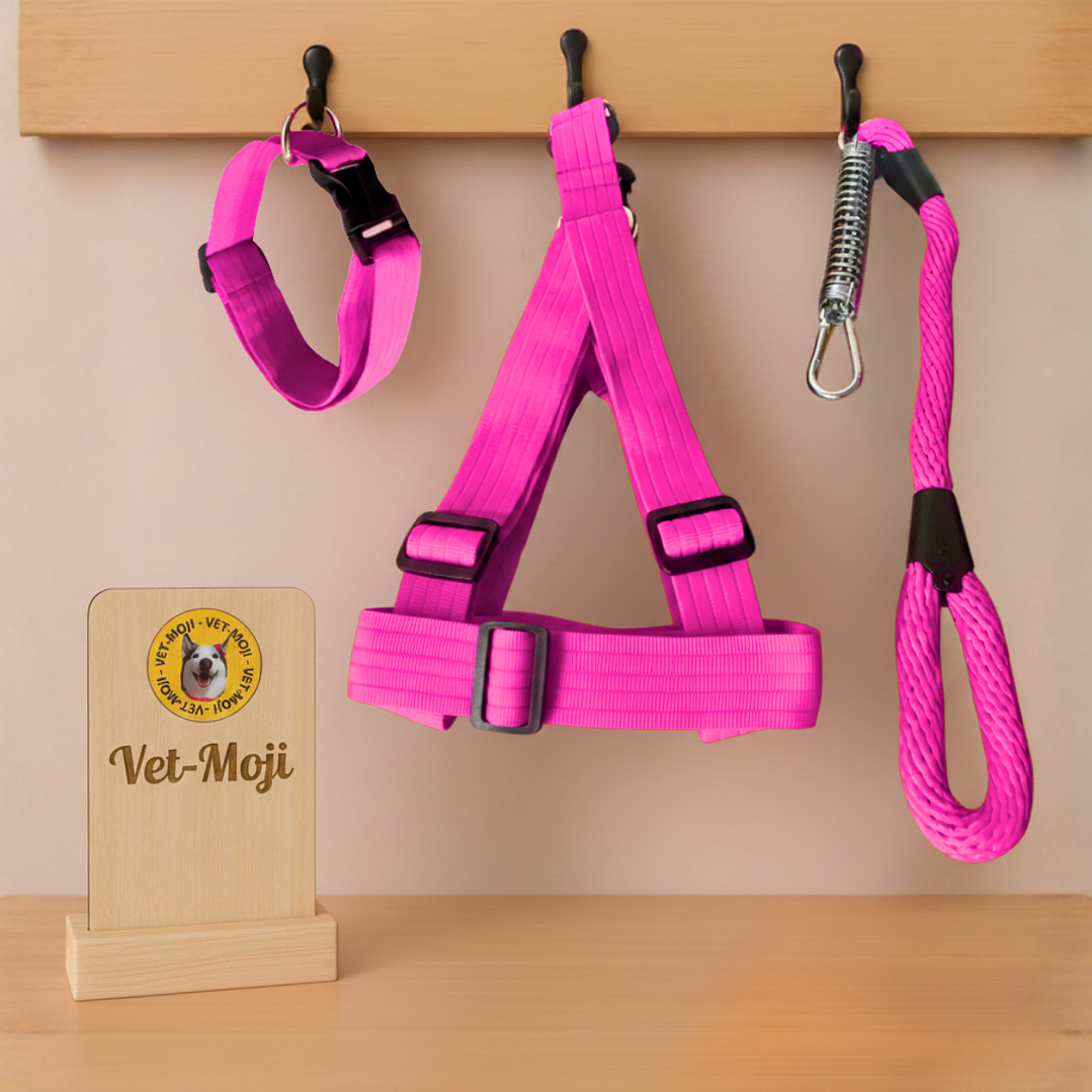 Conjunto para perro Mediano - Grande  3