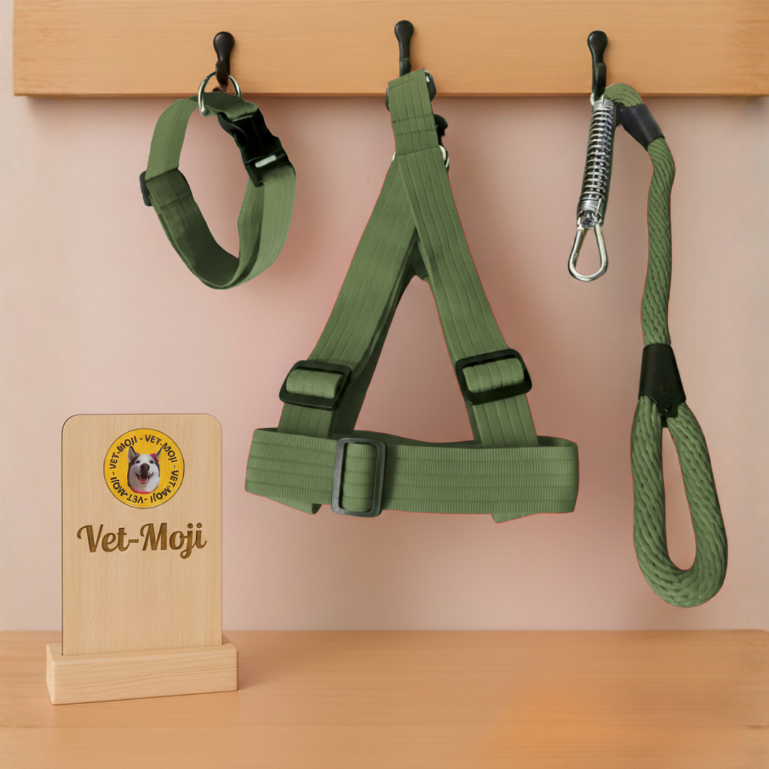 Conjunto para perro Mediano - Grande  4