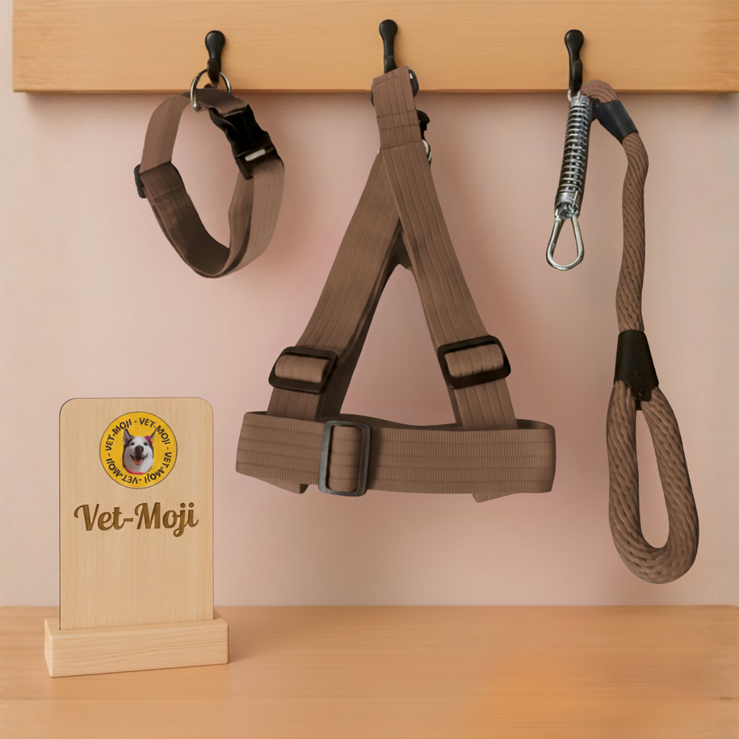 Conjunto para perro Mediano - Grande  5