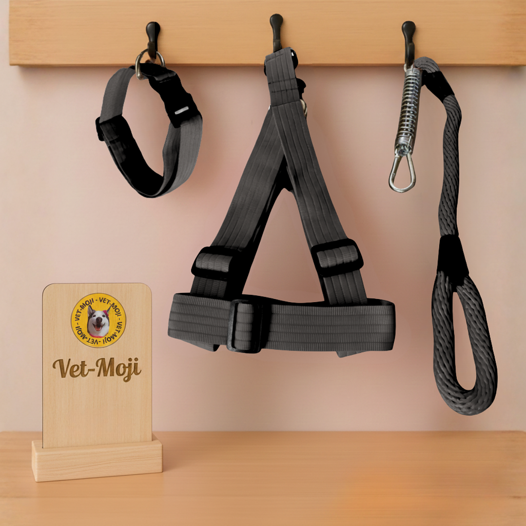 Conjunto para perro Mediano - Grande  6