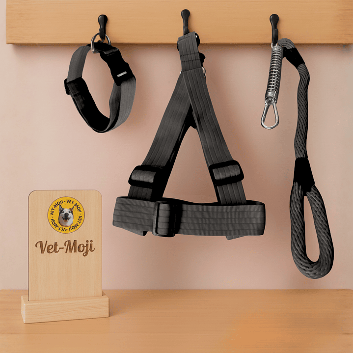 Conjunto para perro Mediano - Grande  6