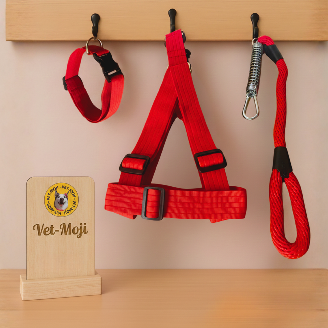 Conjunto para perro Mediano - Grande  7