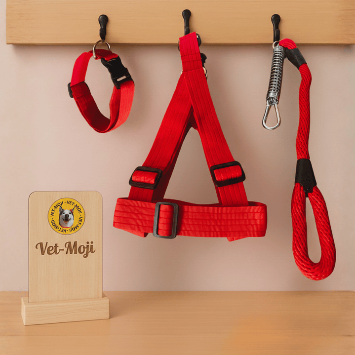 Conjunto para perro Mediano - Grande  7