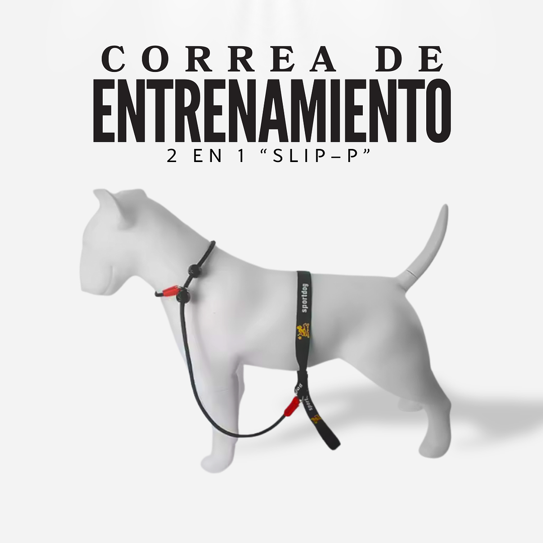 Correa de entrenamiento Anti-ahogo 2