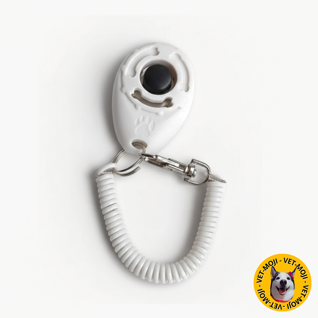 Clicker para entrenamiento  6