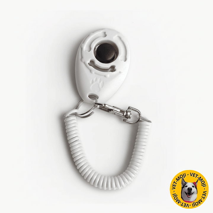 Clicker para entrenamiento  6