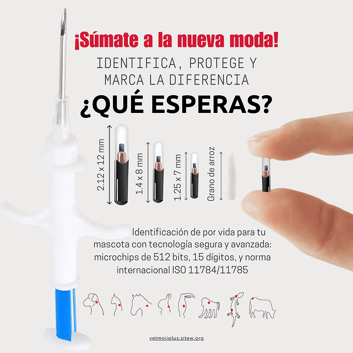 Microchips ID Animal 1