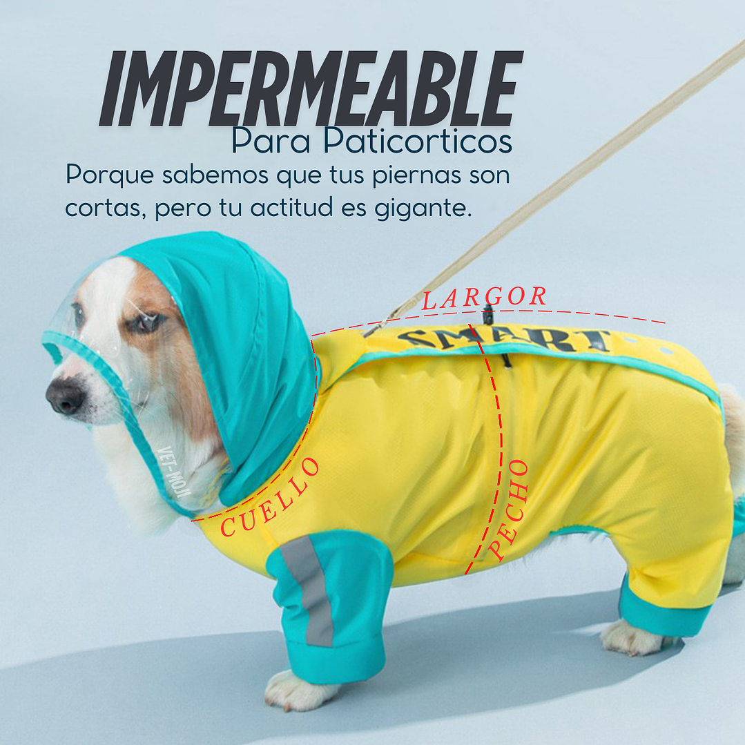 Impermeable Premium para Patitas Cortas 1