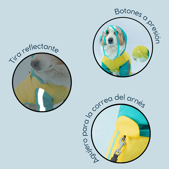 Impermeable Premium para Patitas Cortas 3