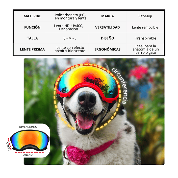 Gafas UV400: Edición Prisma Aero 6