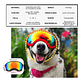 Gafas protección UV400: Pequeñas mascotas  - Miniatura 3