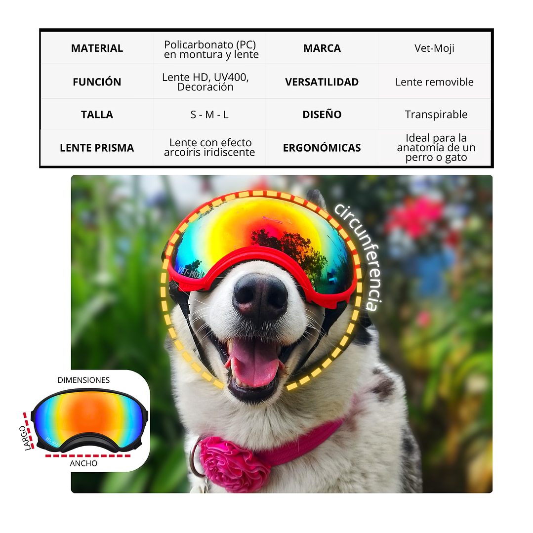 Gafas UV400: Edición Prisma dálmata  4