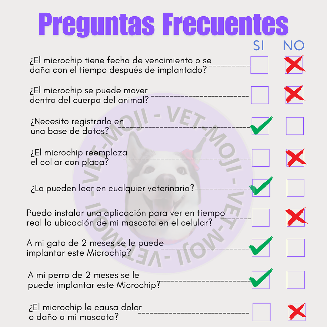 Microchips ID Animal 4