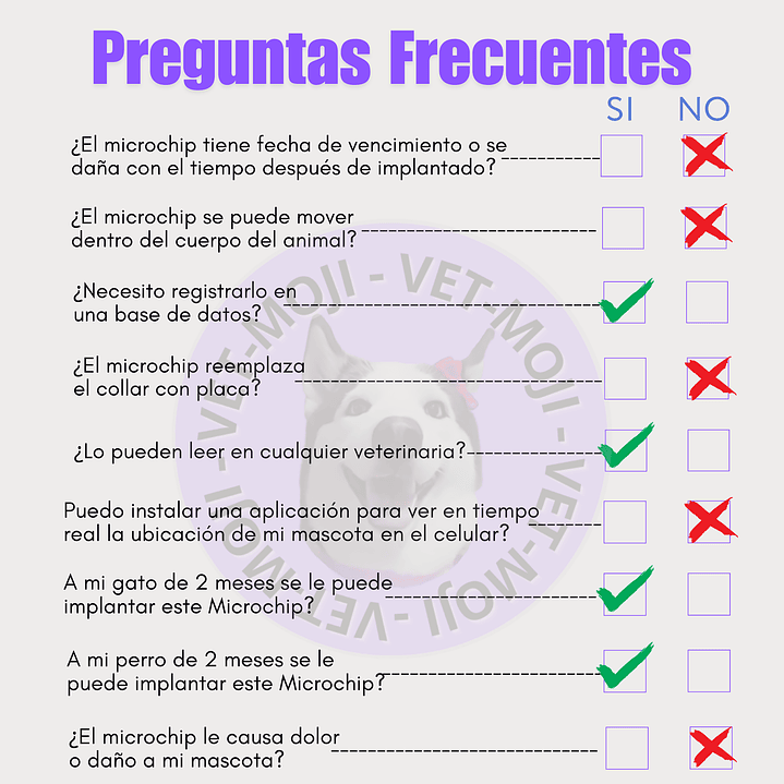 Microchips ID Animal 4