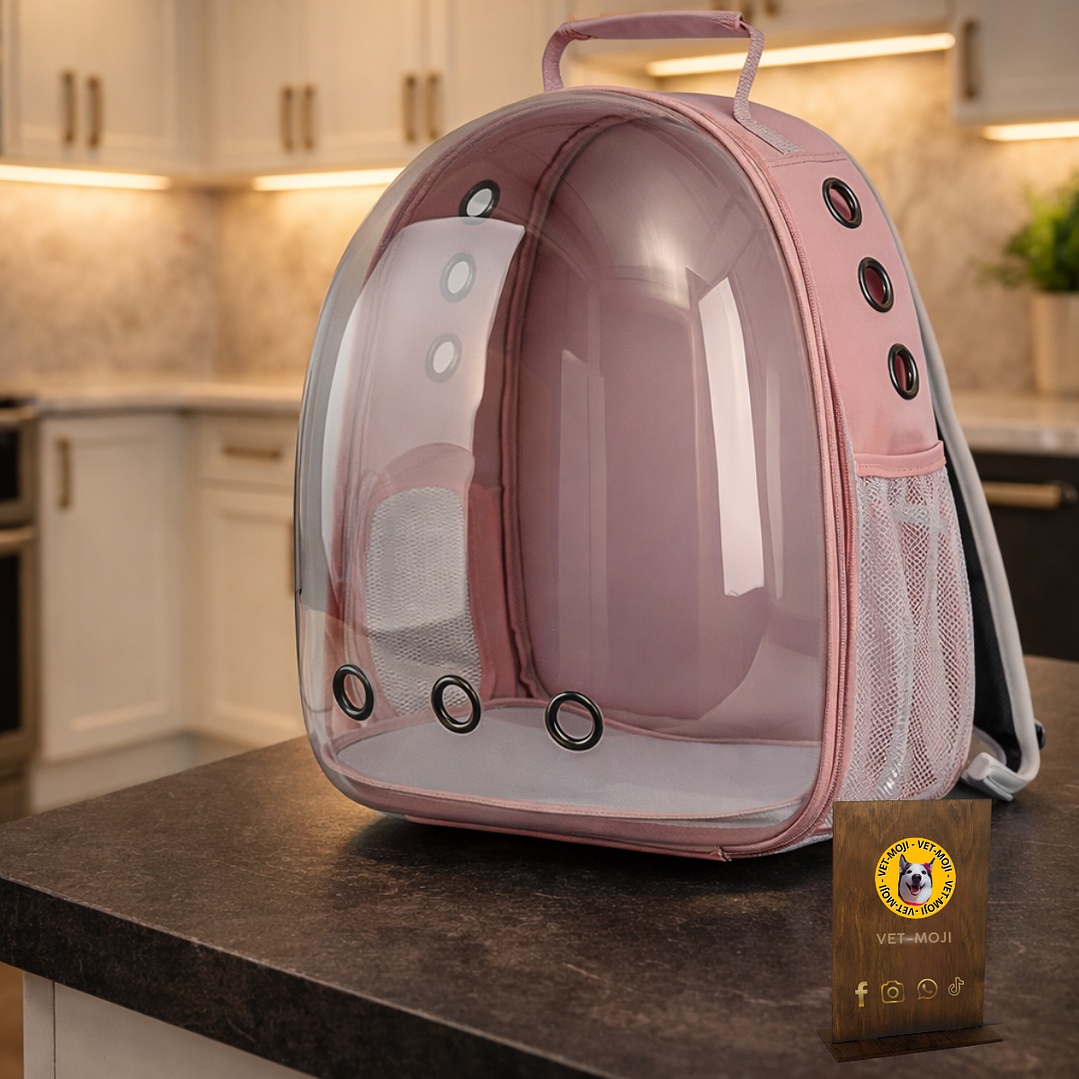 Mochila Transportadora Premium para Gatos 🐾🎒 2