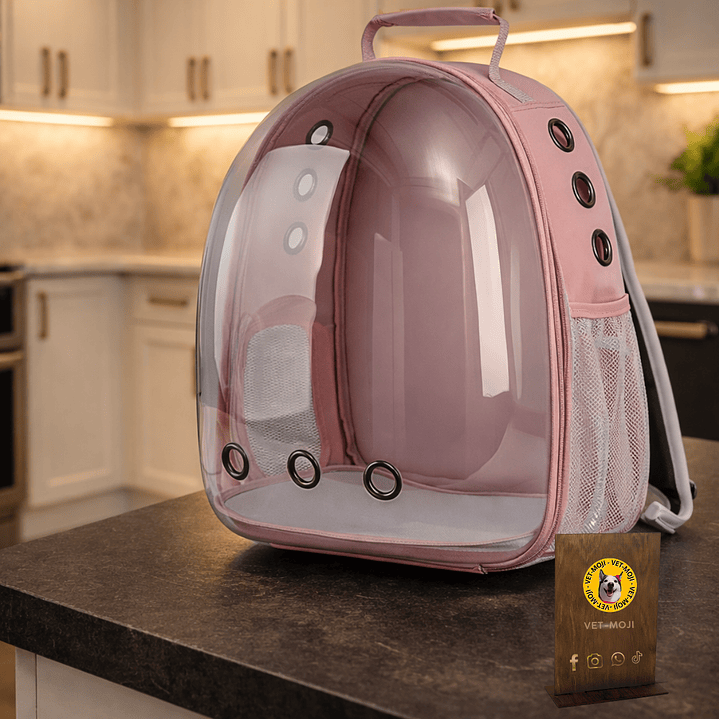 Mochila Transportadora Premium para Gatos 🐾🎒 2