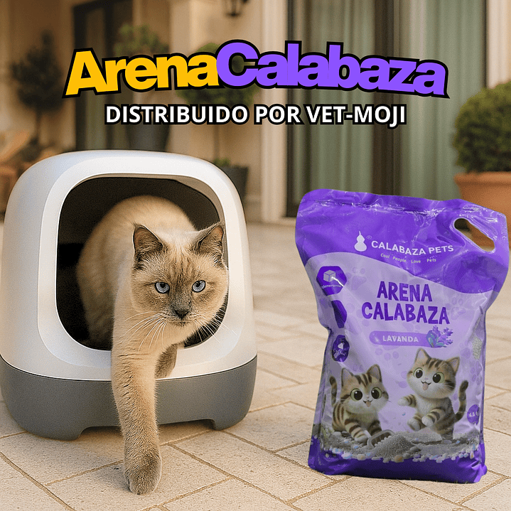 Arena para gato 6