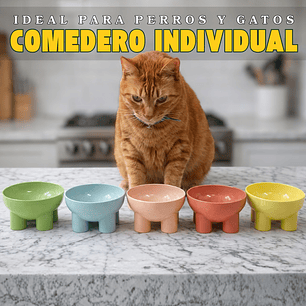 🐶🐱 Comedero Individual para Perros y Gatos 🍽️✨