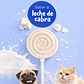 🍭🐾 Snack Lollipop para Perros y Gatos - Miniatura 7