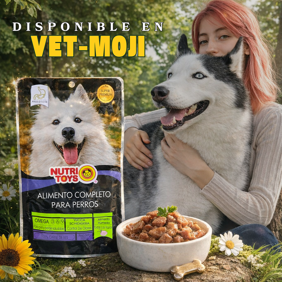 🥩 NutriToys – Alimento Completo para Perros 🐶🍽️ 1