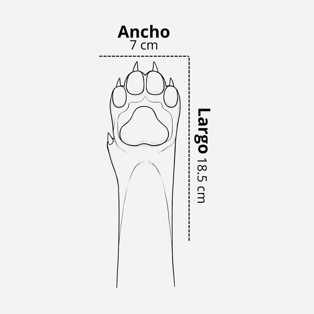 🐾 Medias Antideslizantes para Perro – Protección y Seguridad en Cada Paso 🐶🖤 3