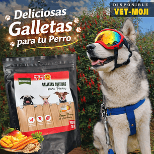 🐶 Galletas Surtidas Nutri Toys para Perros