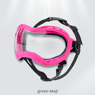 🕶️🐾 Gafas para mascotas con protección UV400 – Vet Moji