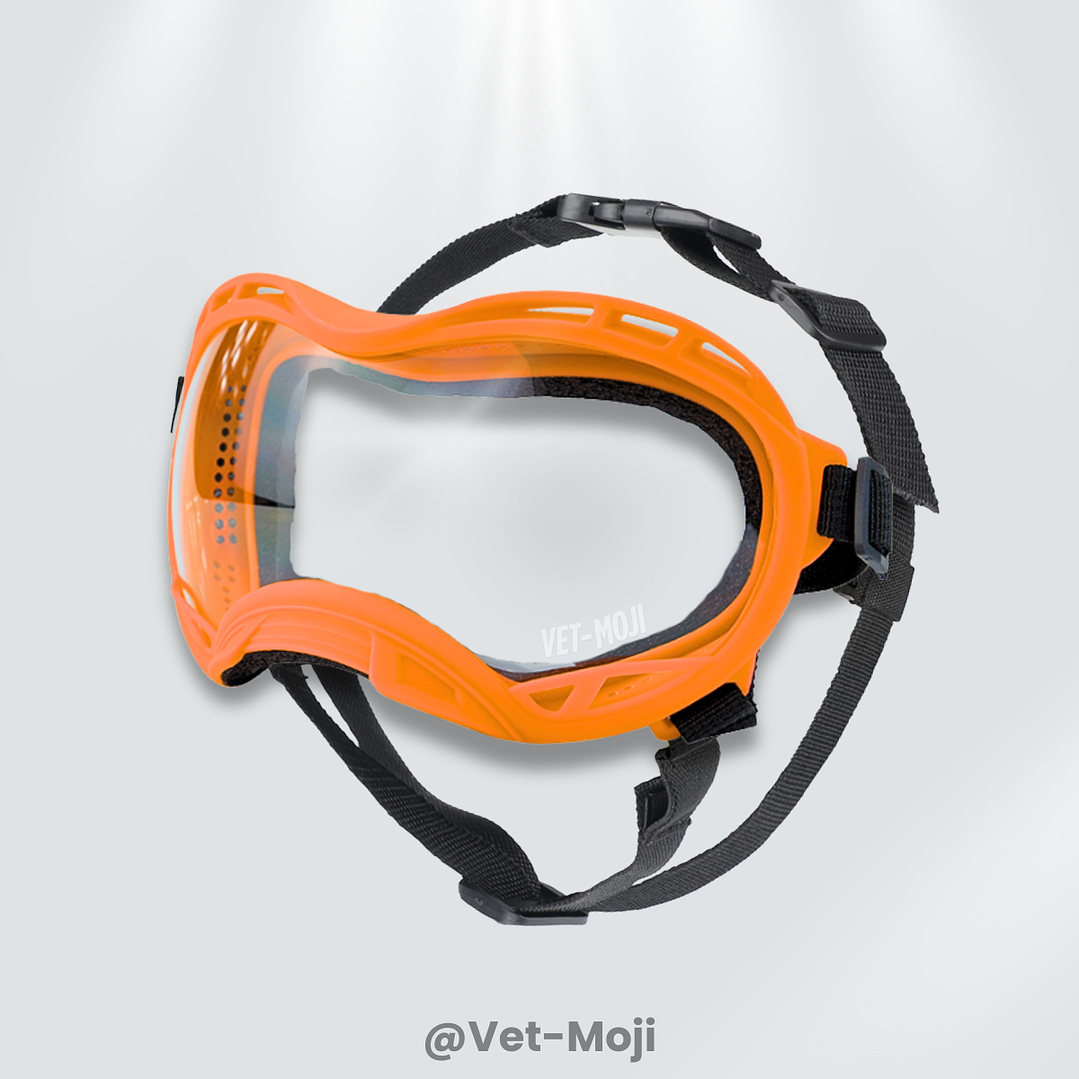 🕶️🐾 Gafas para mascotas con protección UV400 – Vet Moji 3