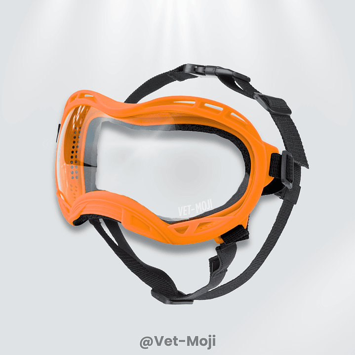 🕶️🐾 Gafas para mascotas con protección UV400 – Vet Moji 3