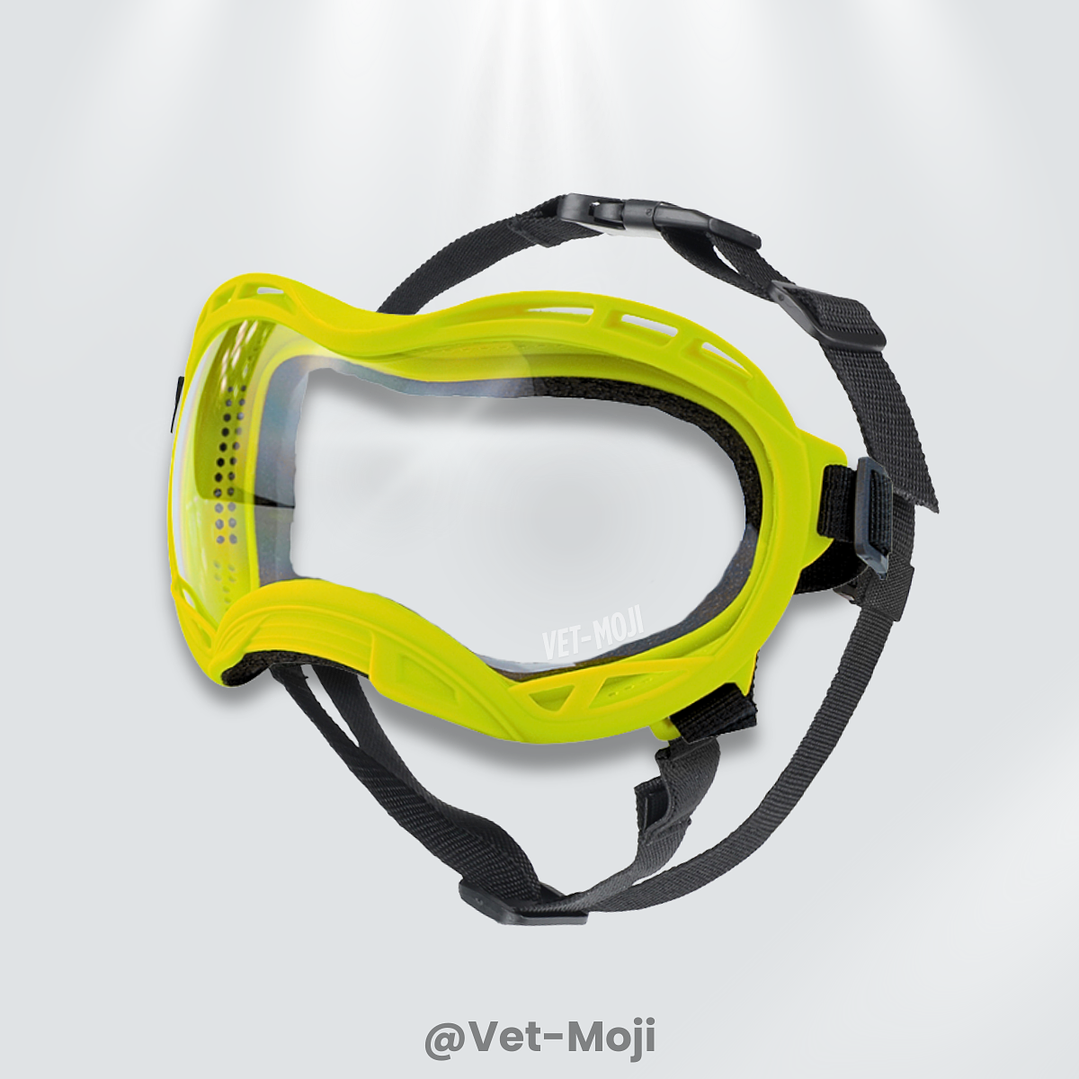 🕶️🐾 Gafas para mascotas con protección UV400 – Vet Moji 4