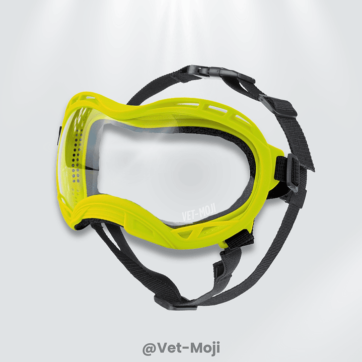 🕶️🐾 Gafas para mascotas con protección UV400 – Vet Moji 4