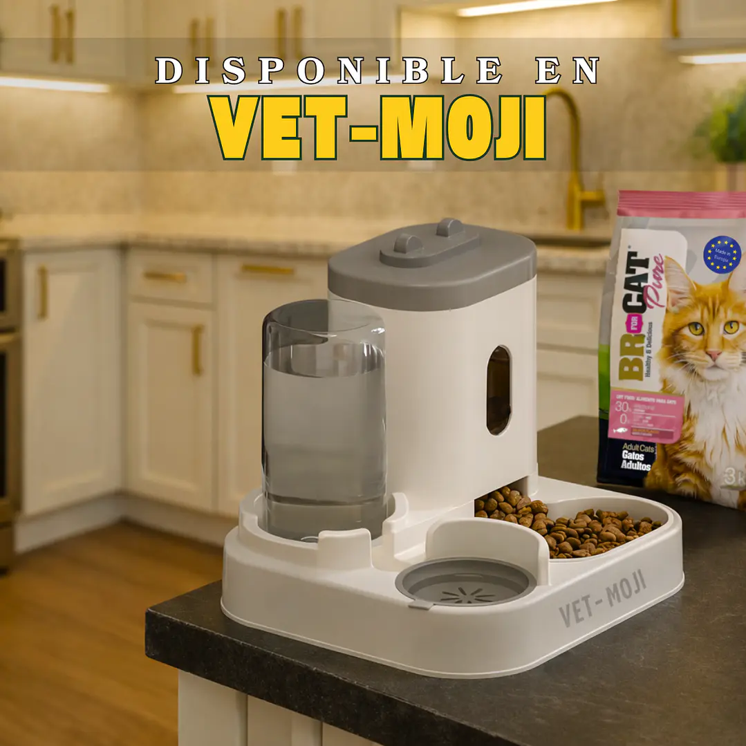 Comedero automático 2 en 1 3