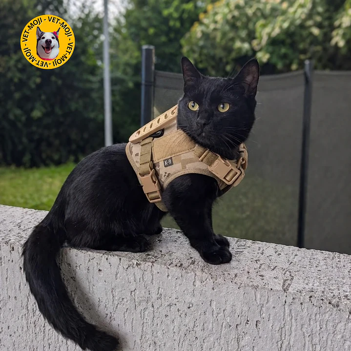 Pechera Táctica para Gatos – Estilo, Seguridad y Control 1