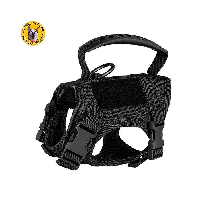 Pechera Táctica para Gatos – Estilo, Seguridad y Control 4