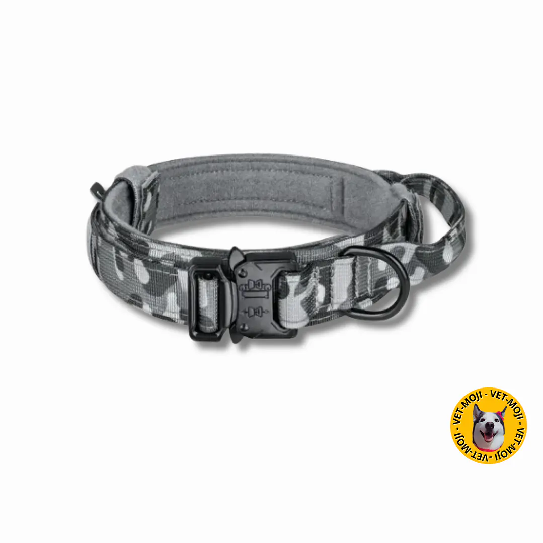 Collar táctico K9  16
