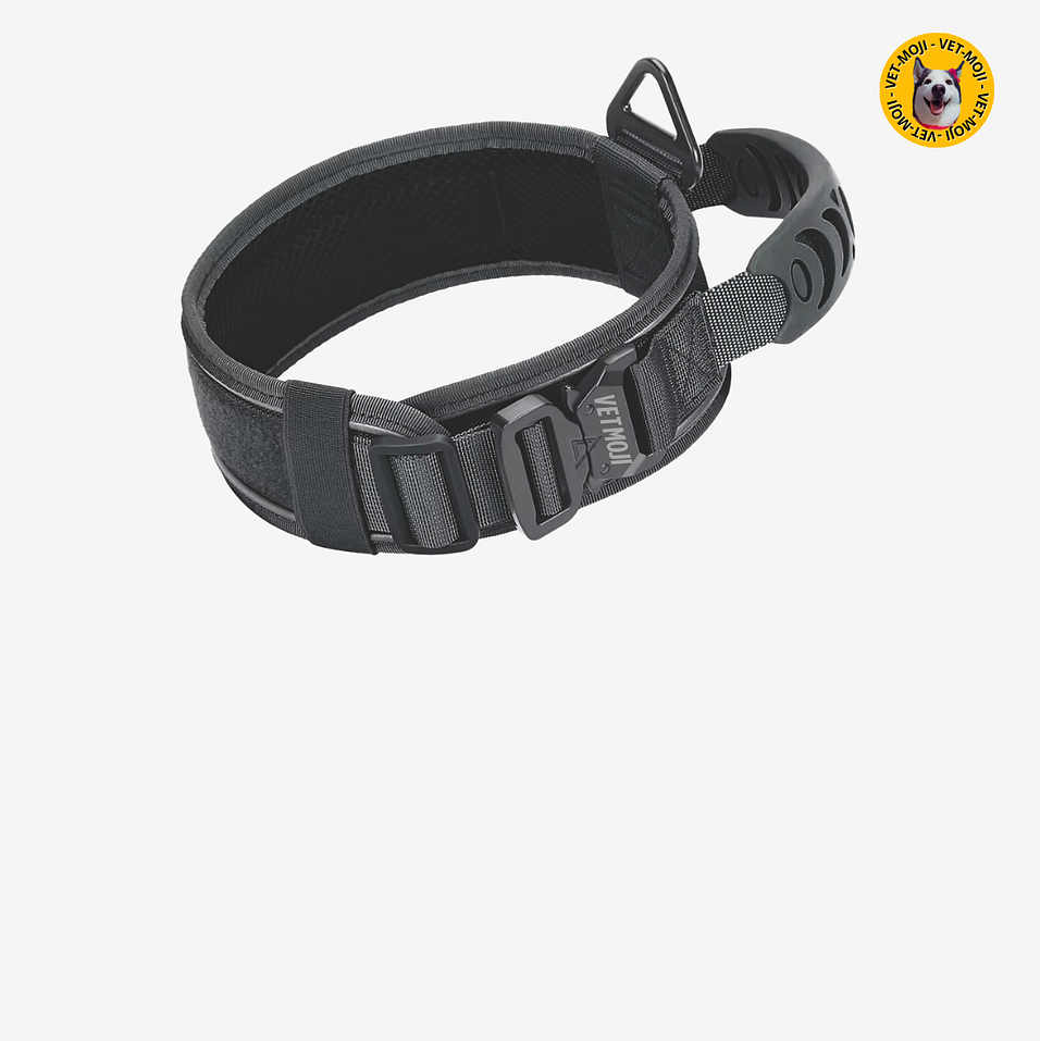 Collar táctico: Comando K9: Negro