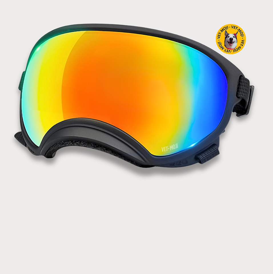 Gafas UV400: Negro<br>