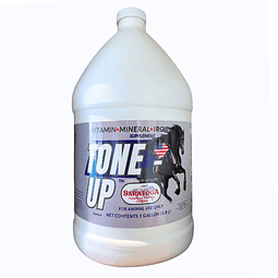 TONE UP SARATOGA 3.8 LT