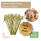 Caja Brocheta | Pincho Bambú Nudo 9 cm (5000 Unidades) - Miniatura 1