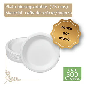 Caja Plato bagazo redondo blanco 23 cm (500 unidades)
