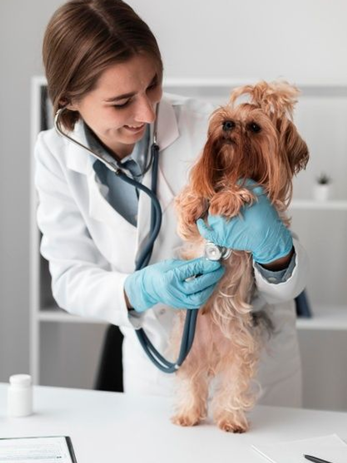 Consulta Veterinaria General 1