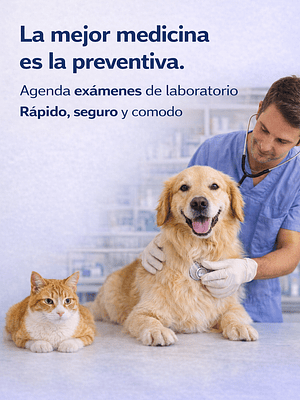 Examenes Preventivos para perros y gatos .