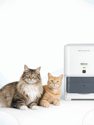 Examen SDMA - IDEXX. ( Detector de daño real temprana)