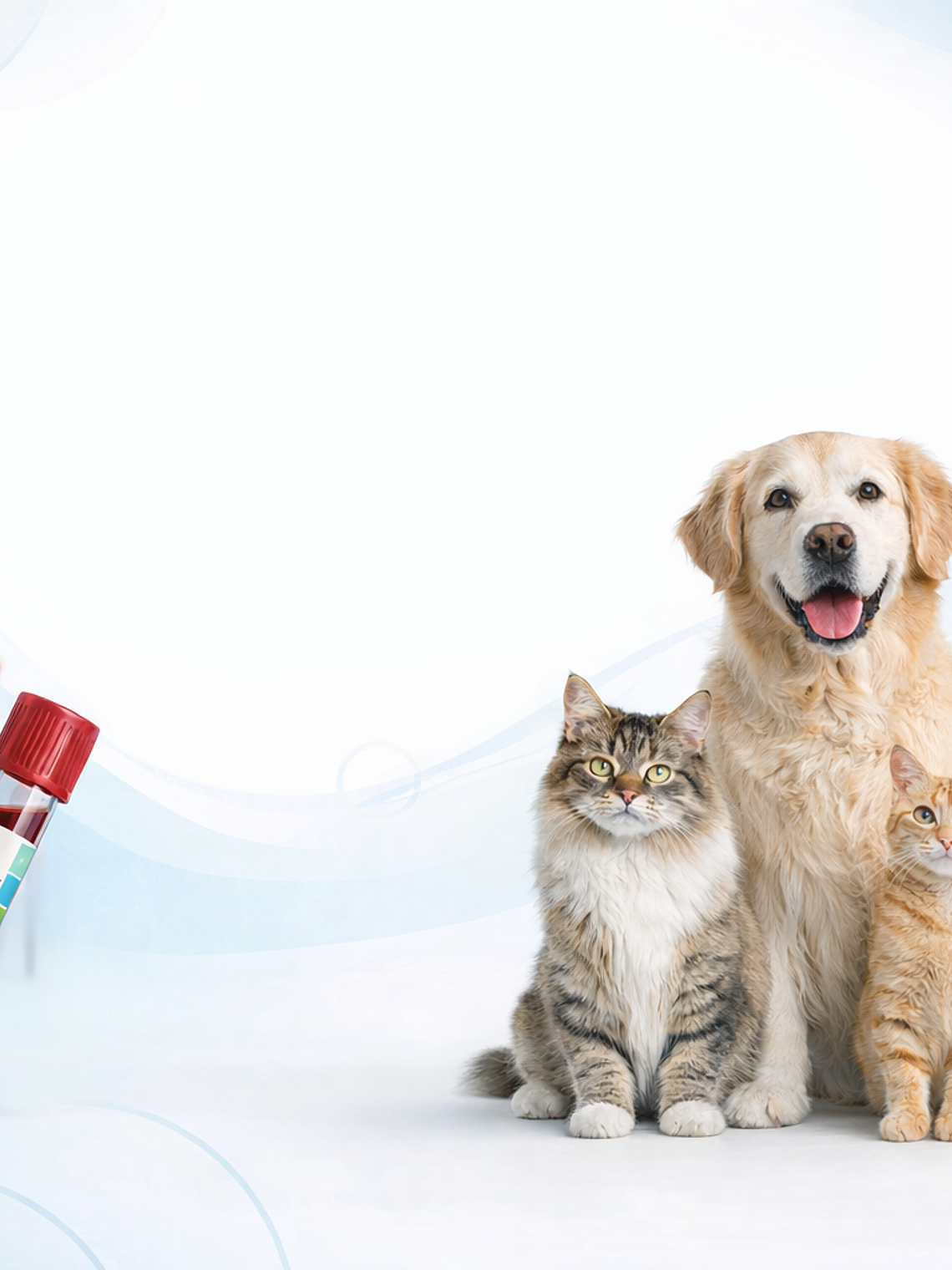 Examen Perfil Tiroide Gatos y Perros. 1