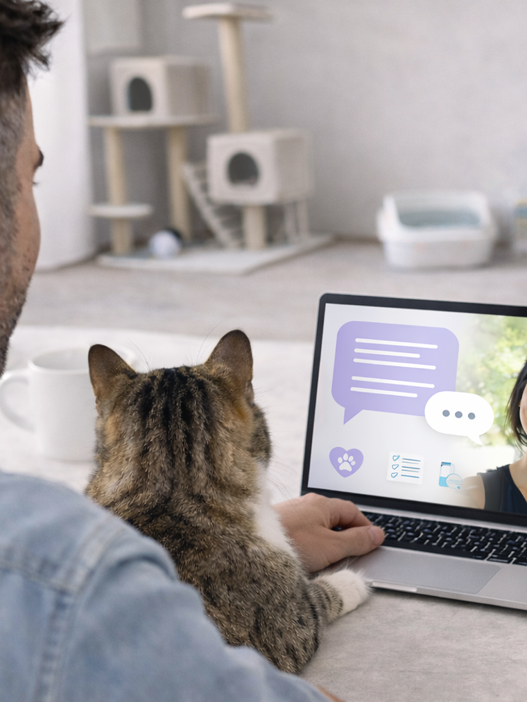 Asesoria integral para tu mascota  1