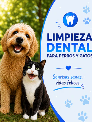 Protocolo de Limpieza Dentral | Destartraje Aguvet Santiago Centro.