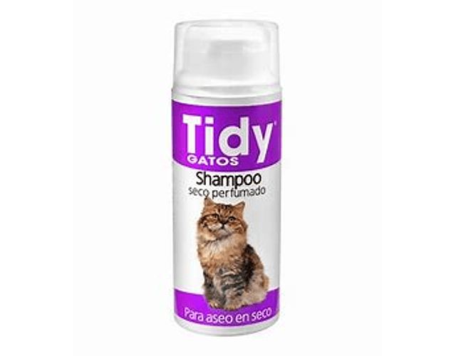 Shampoo seco perfumado Tidy 