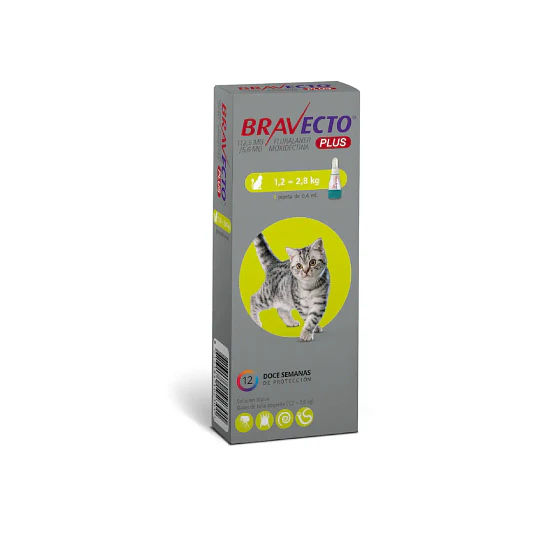 BRAVECTO PLUS GATO (1.2 a 2.8 KG)