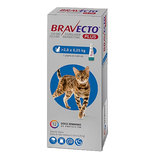 BRAVECTO PLUS GATO 2.8 A 6.25 KG